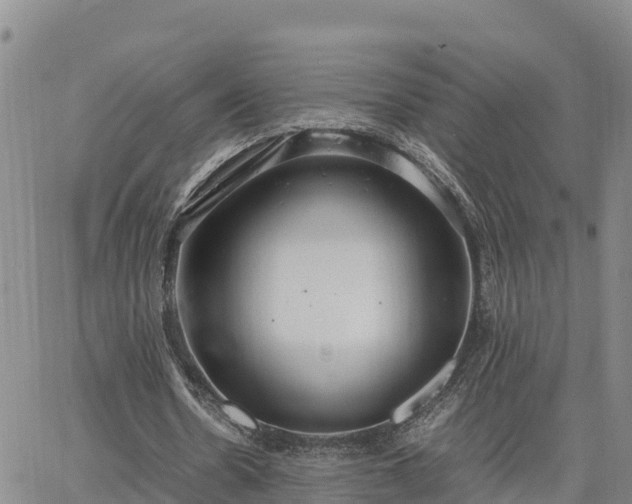 X0000064750530200602171735