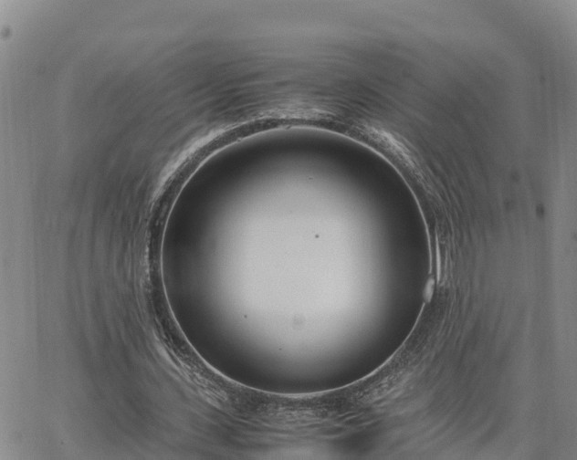 X0000064750531200602171735