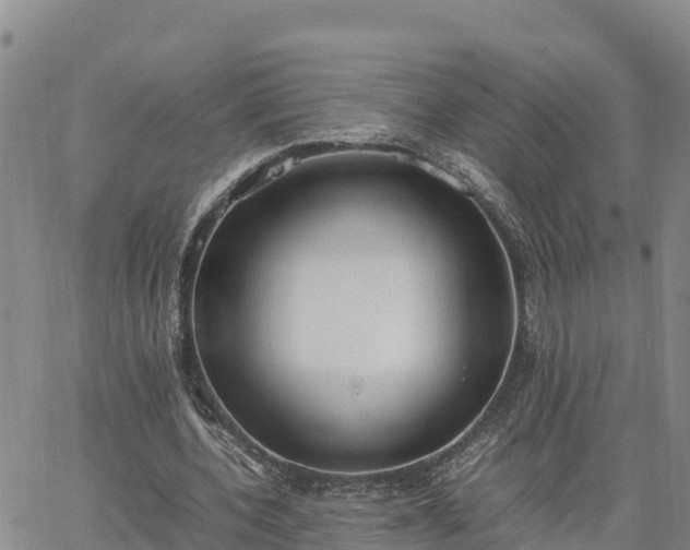 X0000064750532200602171735