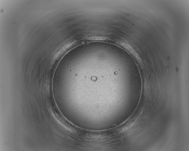 X0000064750533200602171735