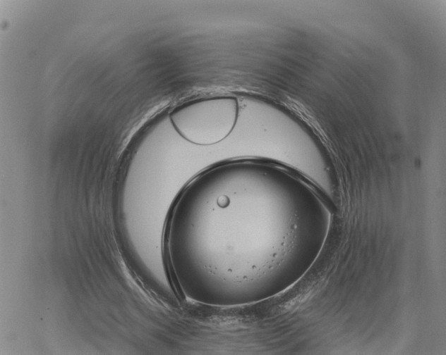 X0000064750534200602171735