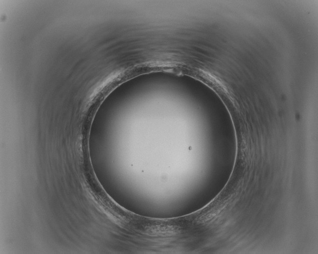 X0000064750535200602171735