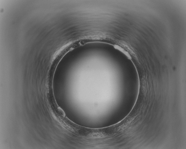 X0000064750536200602171735