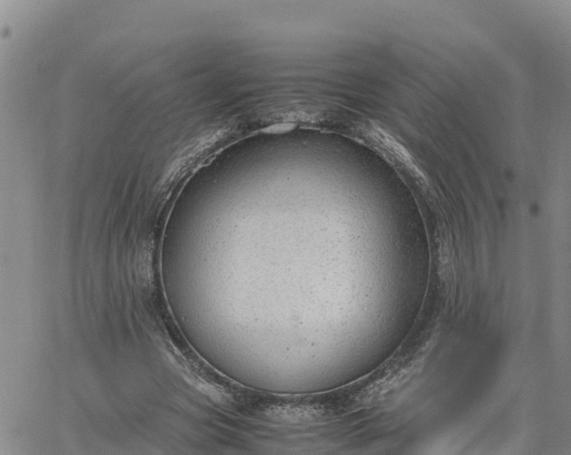 X0000064750537200602171735