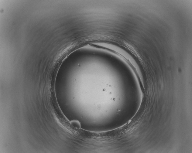 X0000064750538200602171735