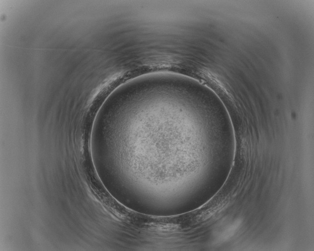 X0000064750539200602171735