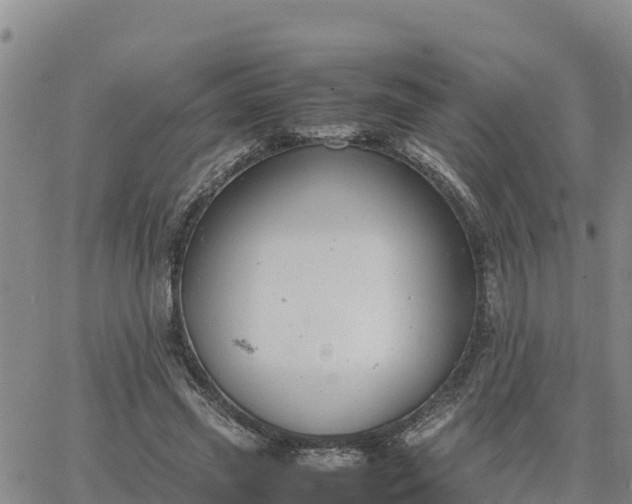 X0000064750541200602171735