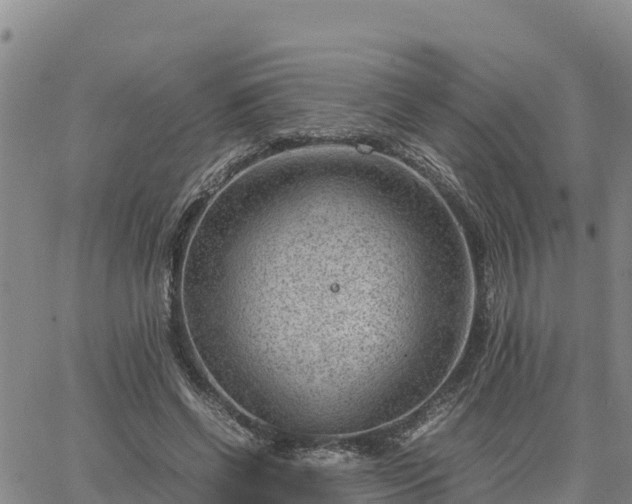 X0000064750542200602171735