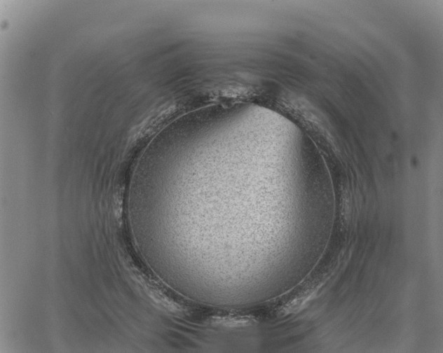 X0000064750545200602171736