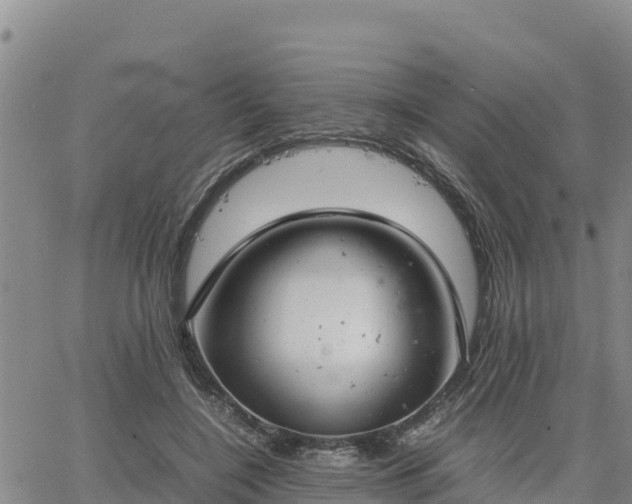 X0000064750548200602171736