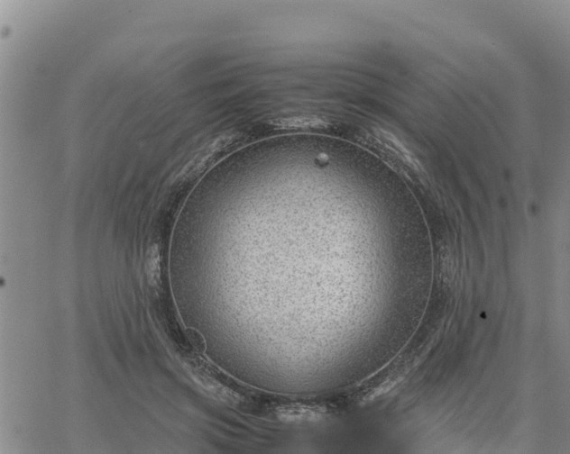 X0000064750549200602171736