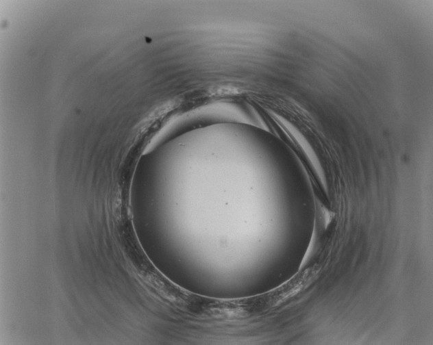 X0000064750552200602171736