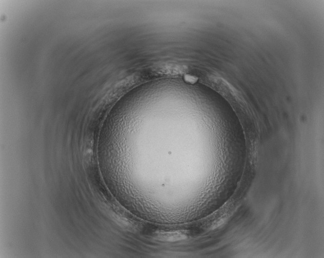 X0000064750553200602171736