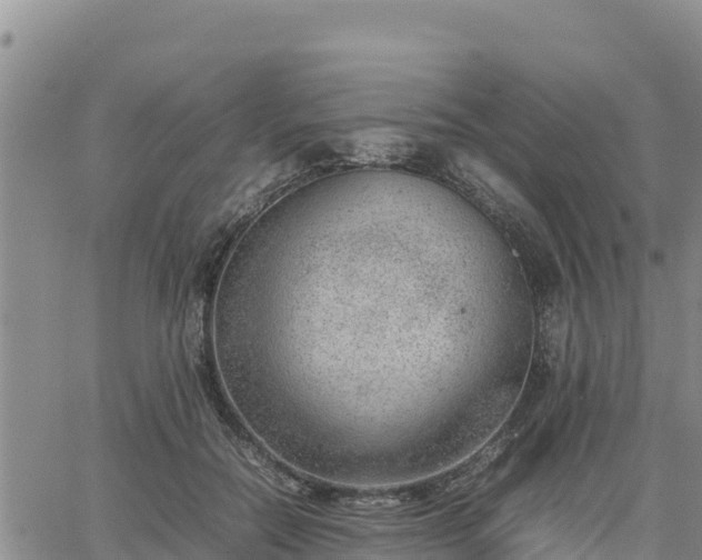 X0000064750554200602171736