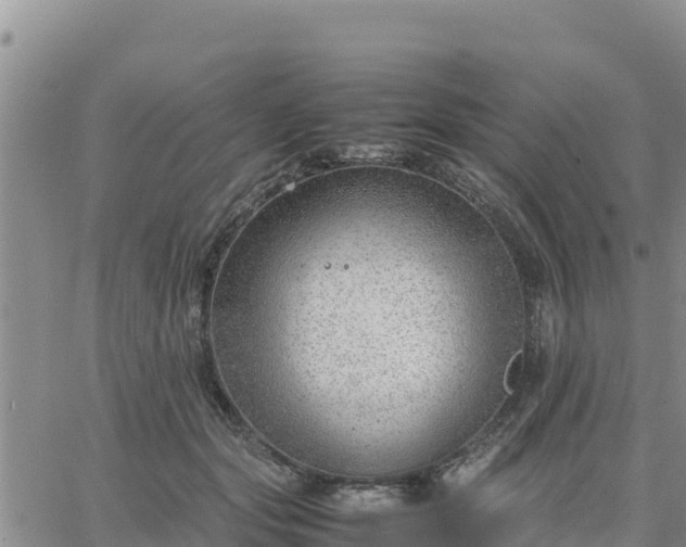 X0000064750557200602171736