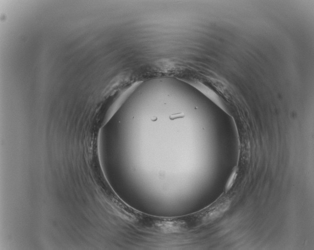 X0000064750558200602171736