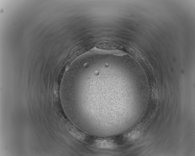 X0000064750561200602171736