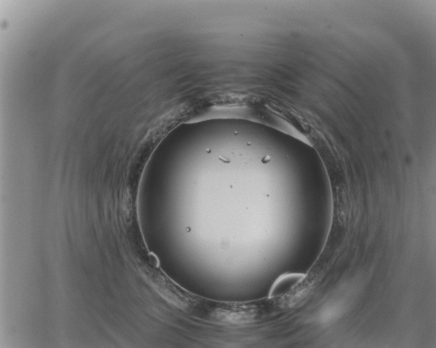 X0000064750563200602171736