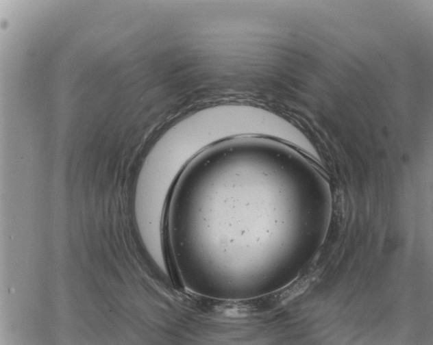 X0000064750564200602171736