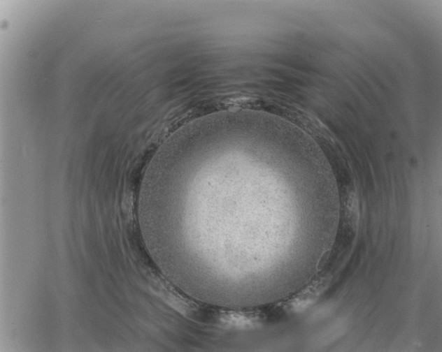 X0000064750565200602171736