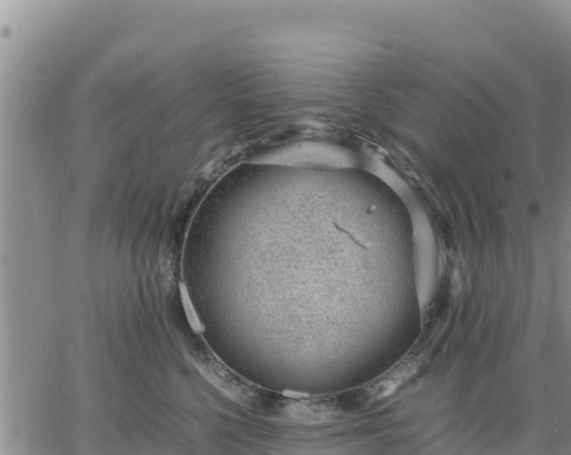 X0000064750568200602171736