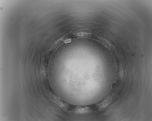 X0000064750569200602171736