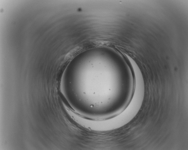 X0000064750570200602171736