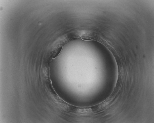 X0000064750571200602171736