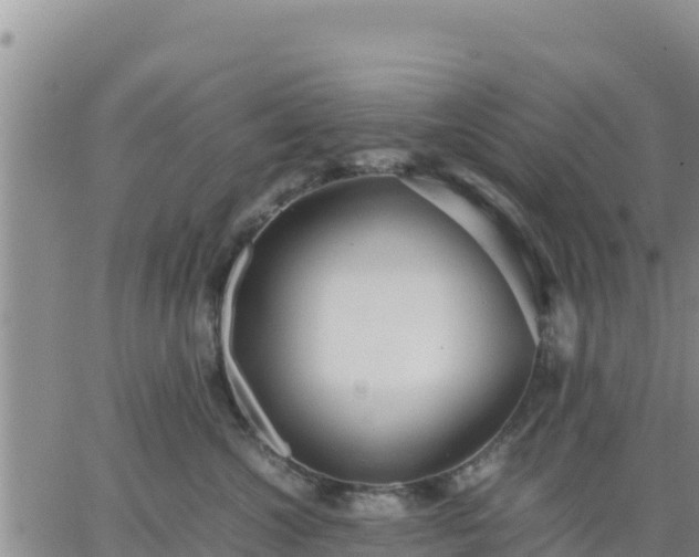 X0000064750572200602171736