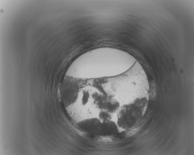 X0000064750573200602171736