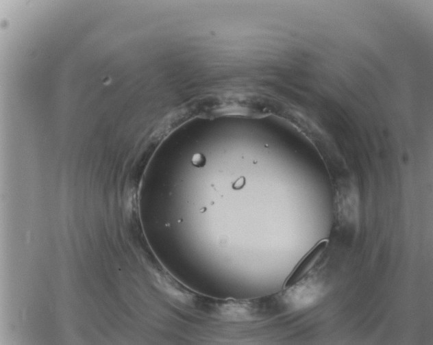 X0000064750574200602171736