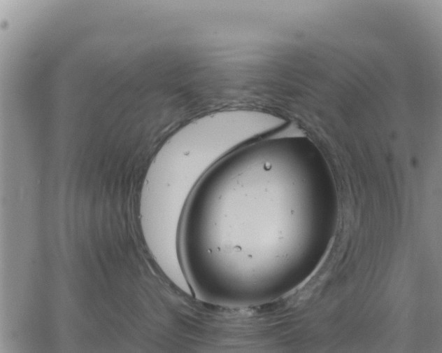 X0000064750576200602171736