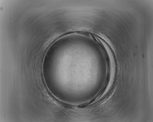 X0000064750577200602171735