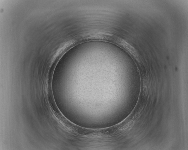 X0000064750578200602171735