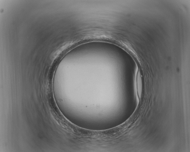 X0000064750579200602171735