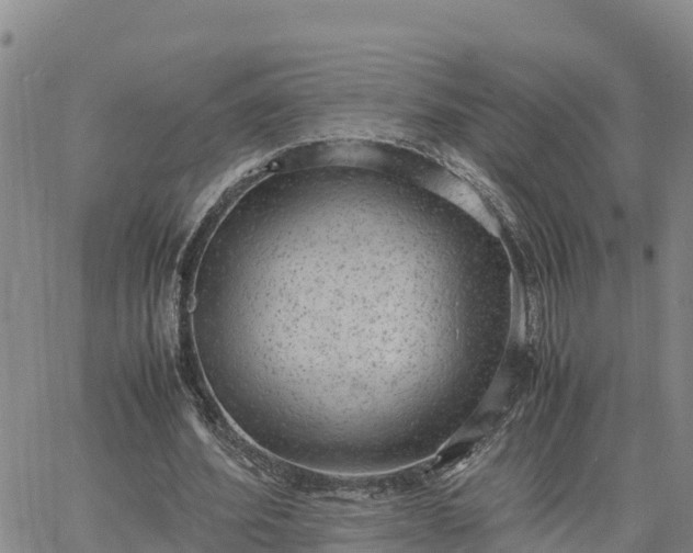 X0000064750580200602171735