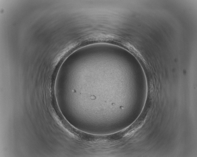 X0000064750581200602171735