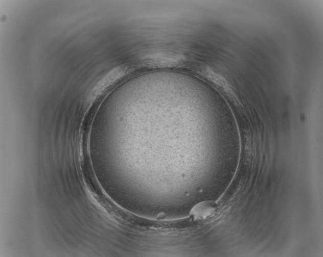 X0000064750582200602171735