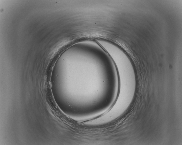 X0000064750583200602171735