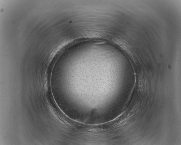 X0000064750584200602171735