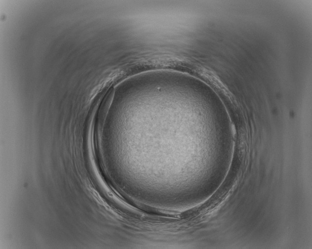 X0000064750585200602171735