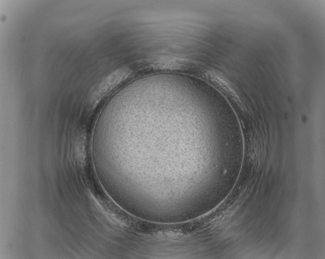 X0000064750586200602171735