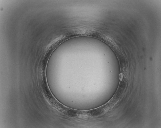 X0000064750587200602171735