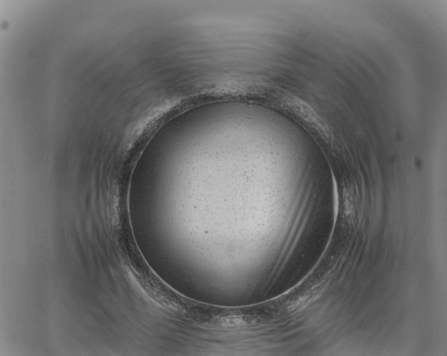 X0000064750588200602171735