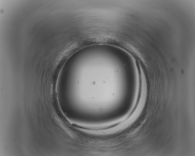 X0000064750589200602171735