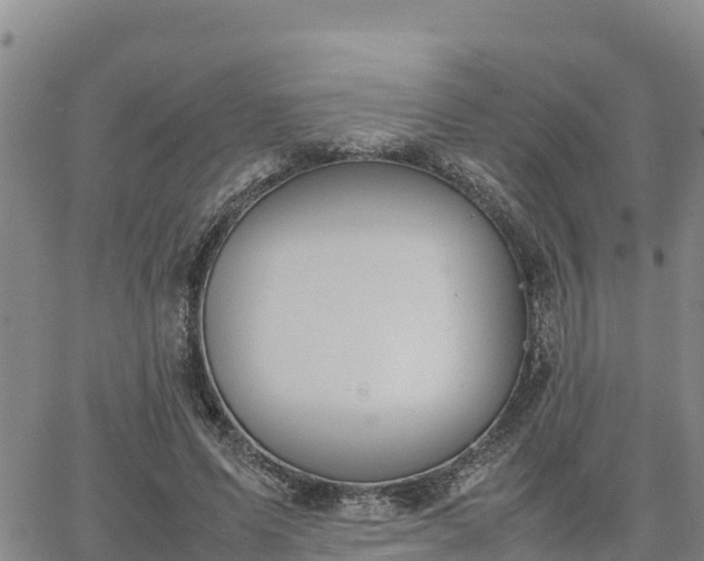 X0000064750591200602171735