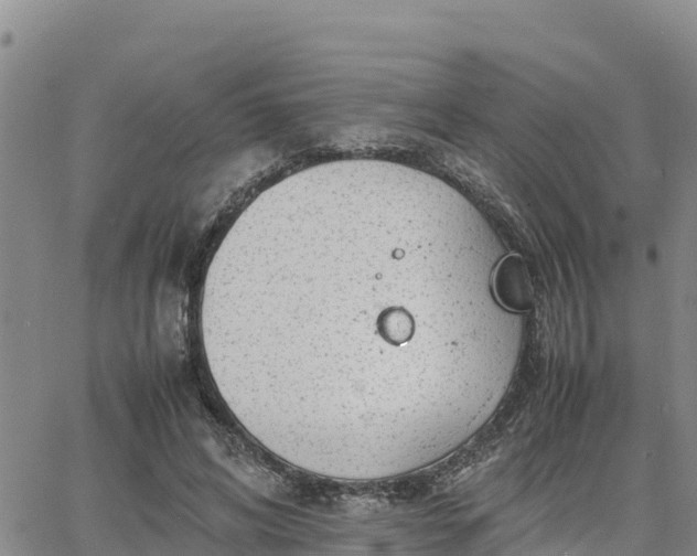 X0000064750592200602171735