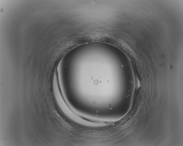 X0000064750593200602171735