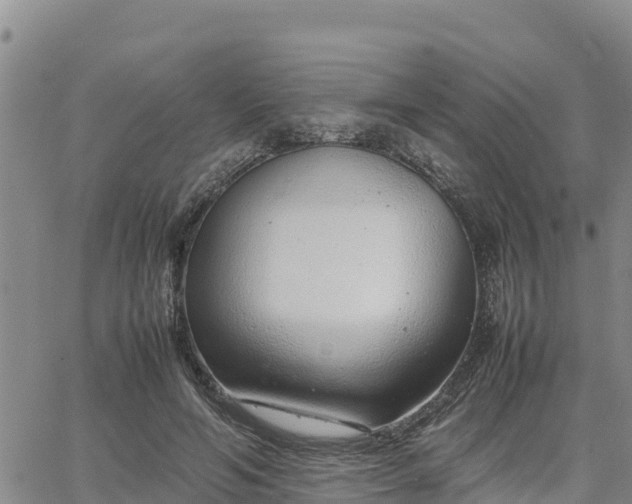 X0000064750594200602171735