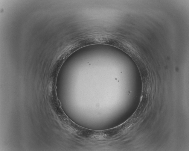 X0000064750595200602171735